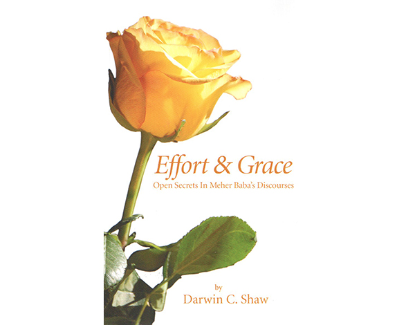 Effort and Grace Group